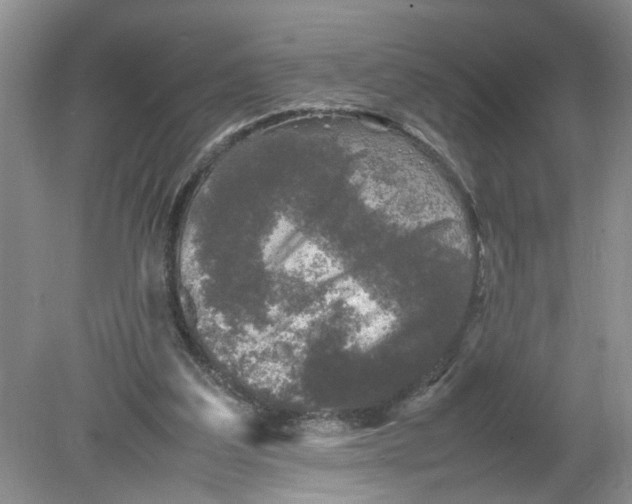 X0000078860203200612041941