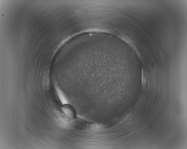 X0000078860204200612041941