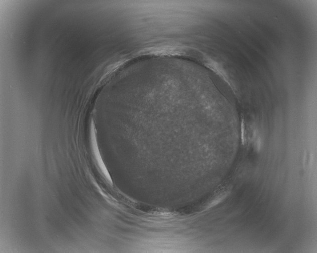 X0000078860205200612041941