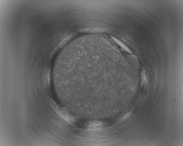 X0000078860206200612041941