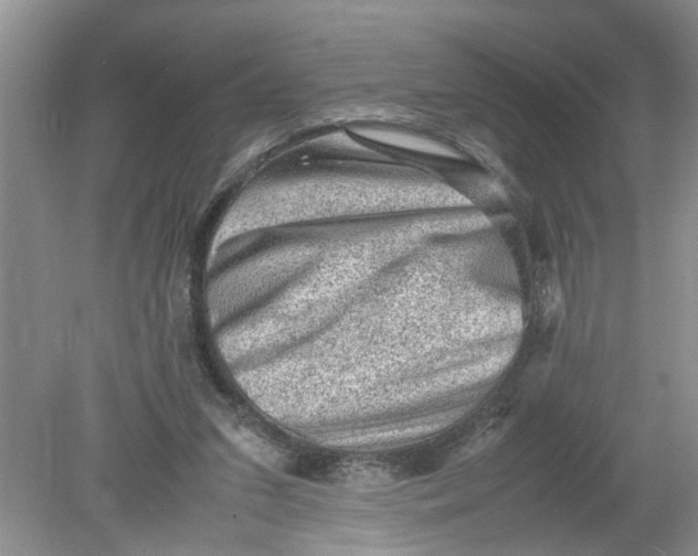 X0000078860207200612041941