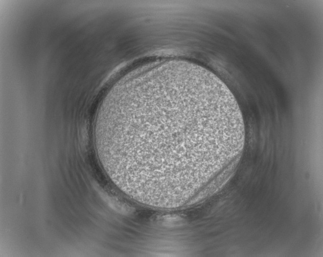 X0000078860208200612041941