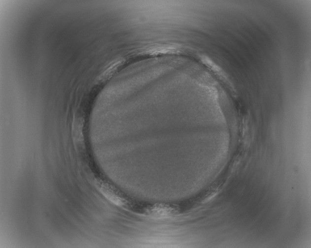 X0000078860209200612041941