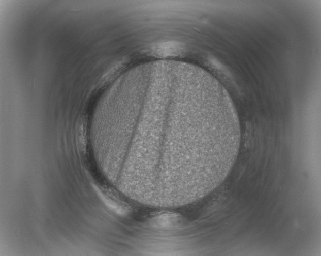 X0000078860210200612041941