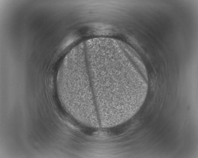 X0000078860211200612041941