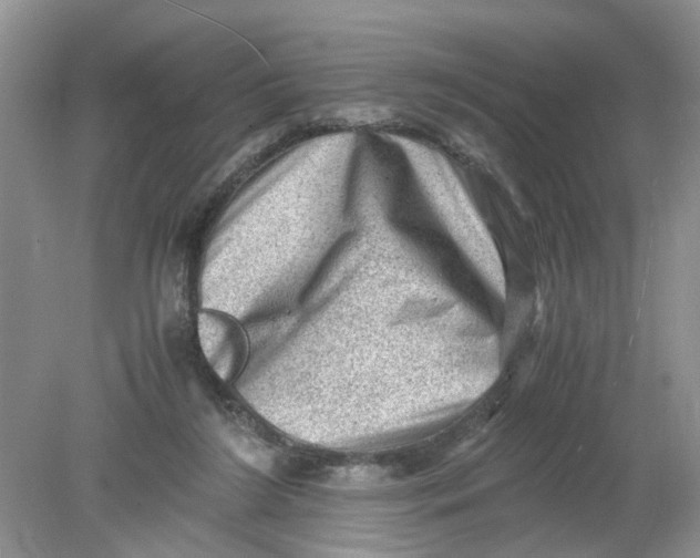 X0000078860212200612041941