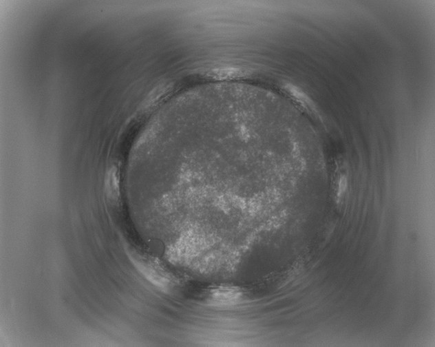 X0000078860214200612041941