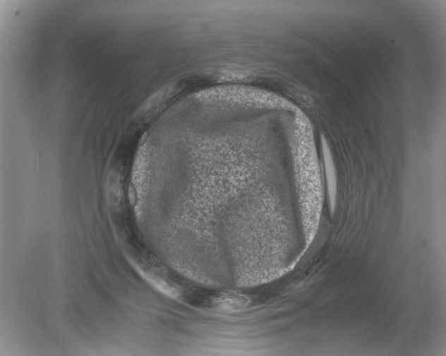 X0000078860215200612041941