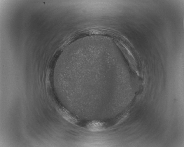 X0000078860217200612041940