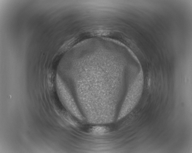 X0000078860218200612041940