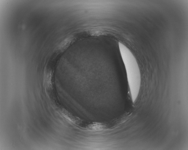 X0000078860219200612041940