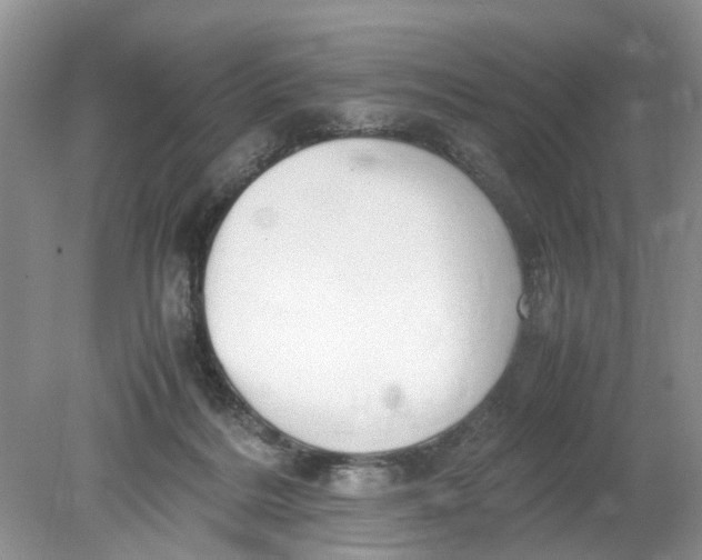 X0000078860220200612041940