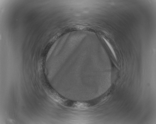 X0000078860221200612041940