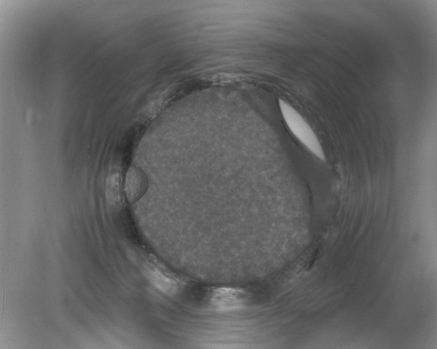 X0000078860222200612041940