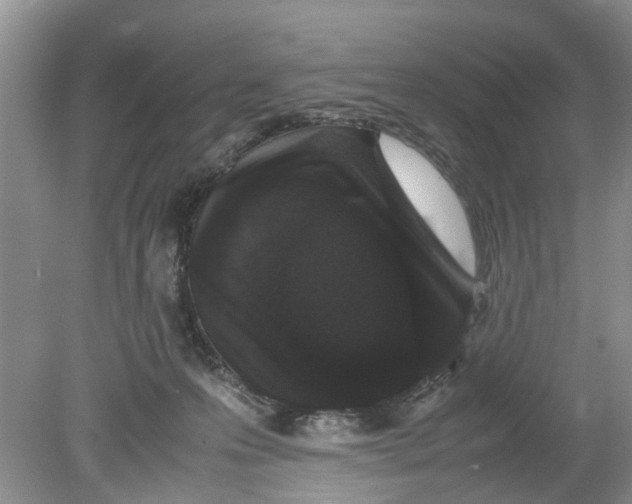 X0000078860223200612041940