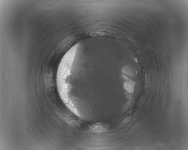 X0000078860224200612041940