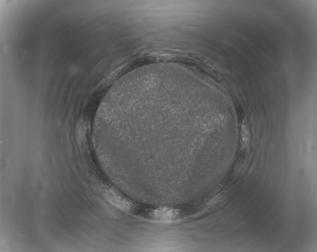 X0000078860225200612041940