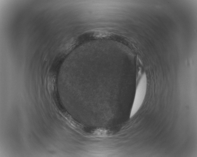 X0000078860227200612041940