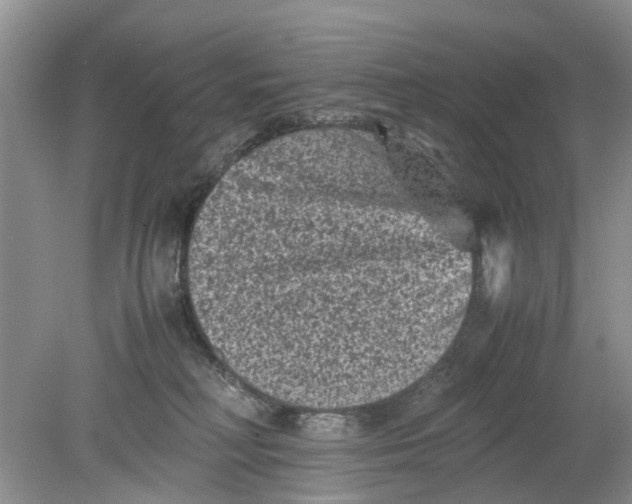 X0000078860230200612041940