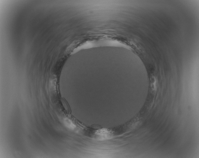 X0000078860231200612041940