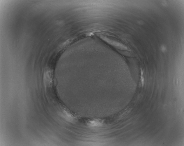 X0000078860232200612041940