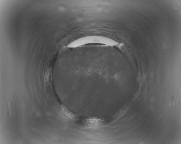 X0000078860233200612041940