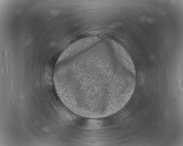 X0000078860234200612041940