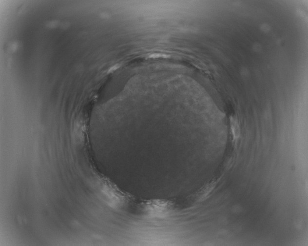 X0000078860235200612041940