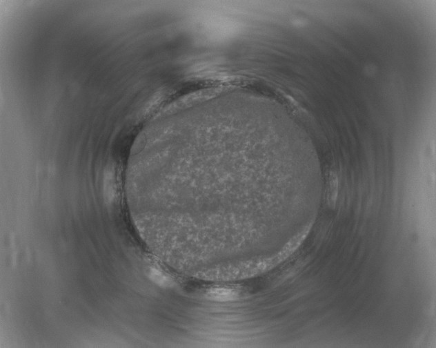 X0000078860236200612041940