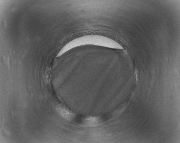 X0000078860237200612041940