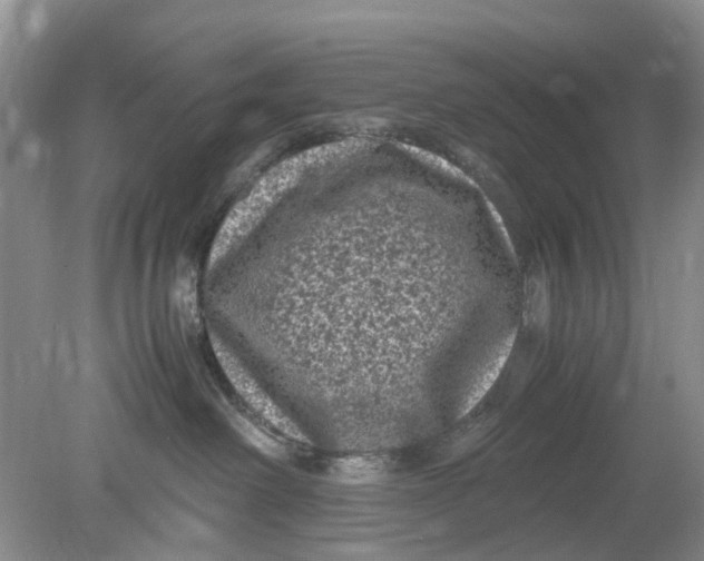 X0000078860238200612041940