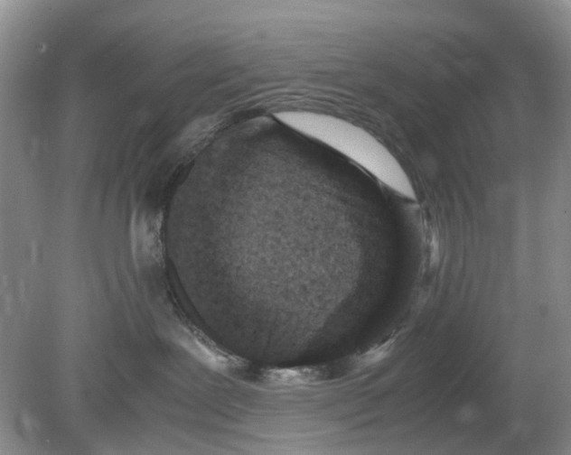 X0000078860239200612041940