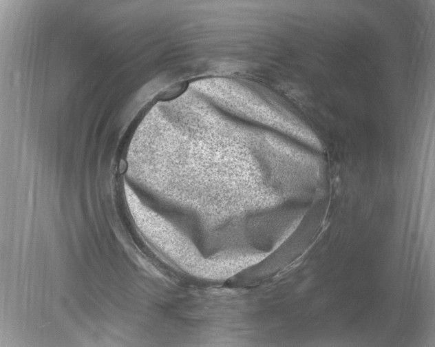 X0000078860242200612041939