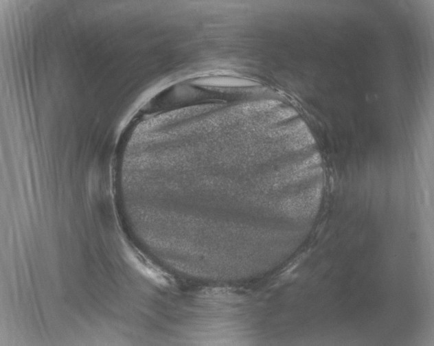 X0000078860244200612041939