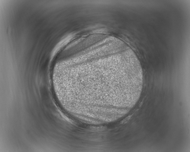 X0000078860245200612041939