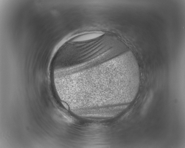 X0000078860246200612041939