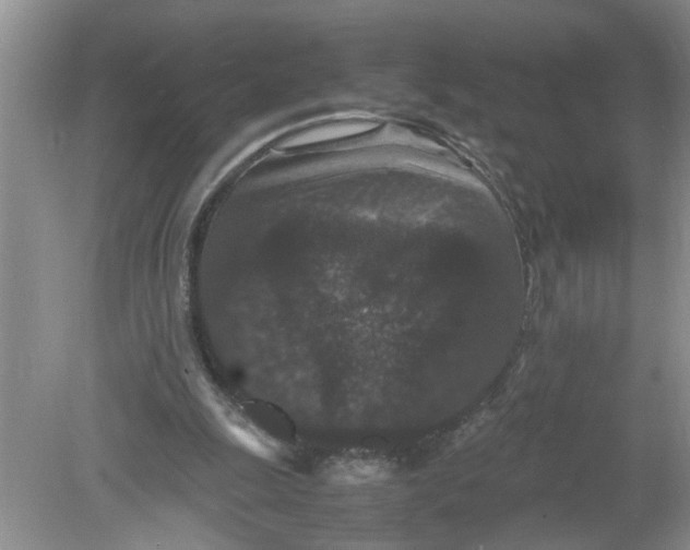 X0000078860247200612041939