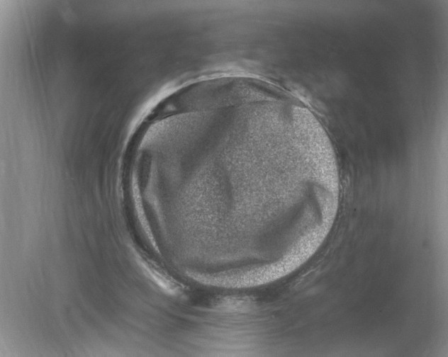 X0000078860248200612041939