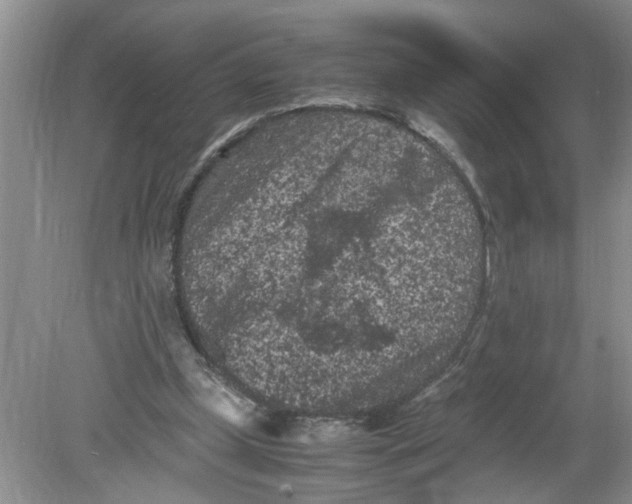 X0000078860249200612041939