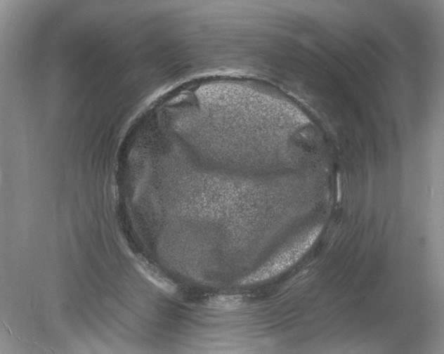 X0000078860252200612041939