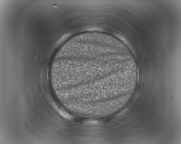 X0000078860253200612041939