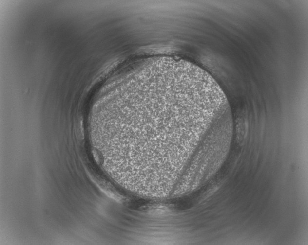 X0000078860254200612041939