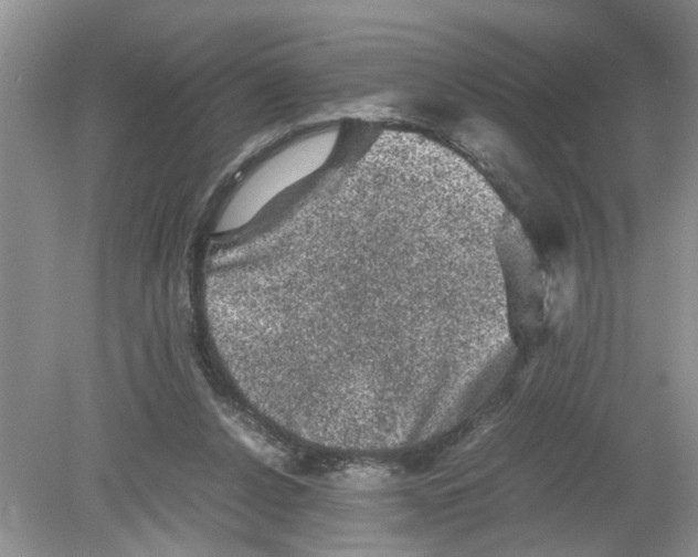 X0000078860256200612041940