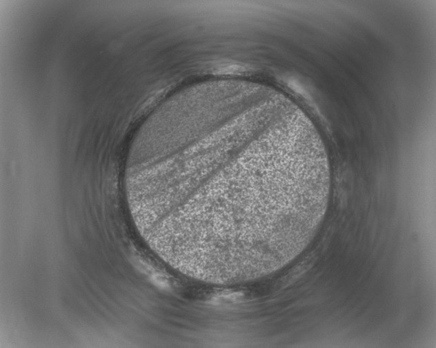 X0000078860257200612041940