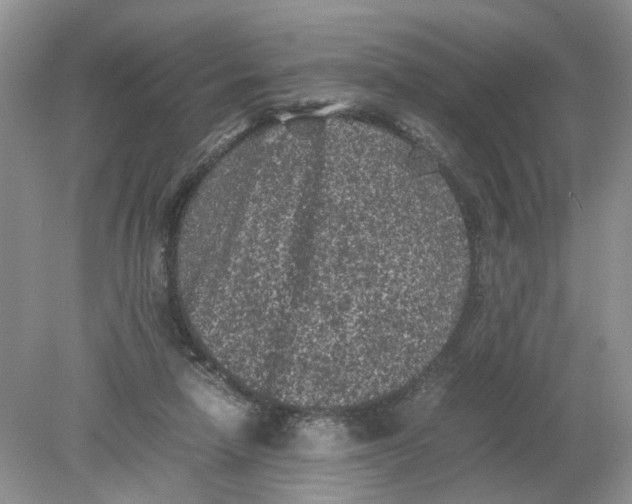 X0000078860258200612041940