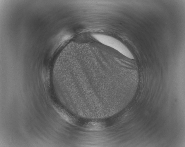 X0000078860260200612041940