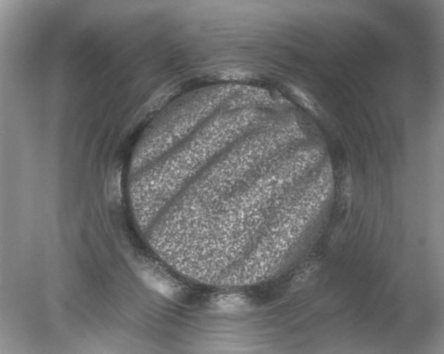 X0000078860262200612041940