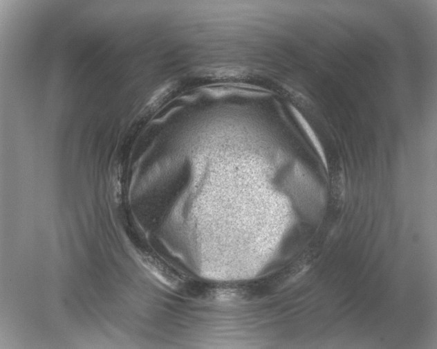 X0000078860264200612041940