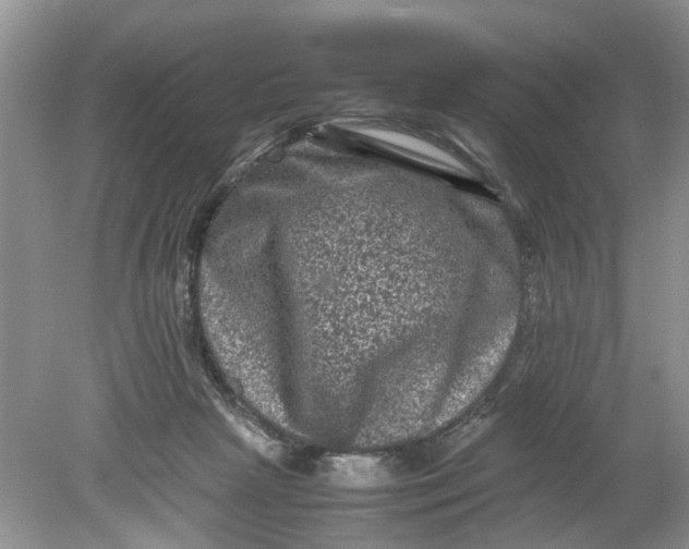 X0000078860265200612041940