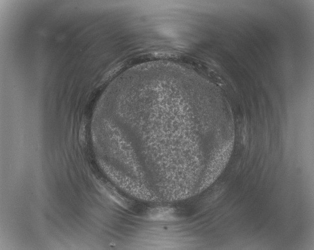 X0000078860266200612041940